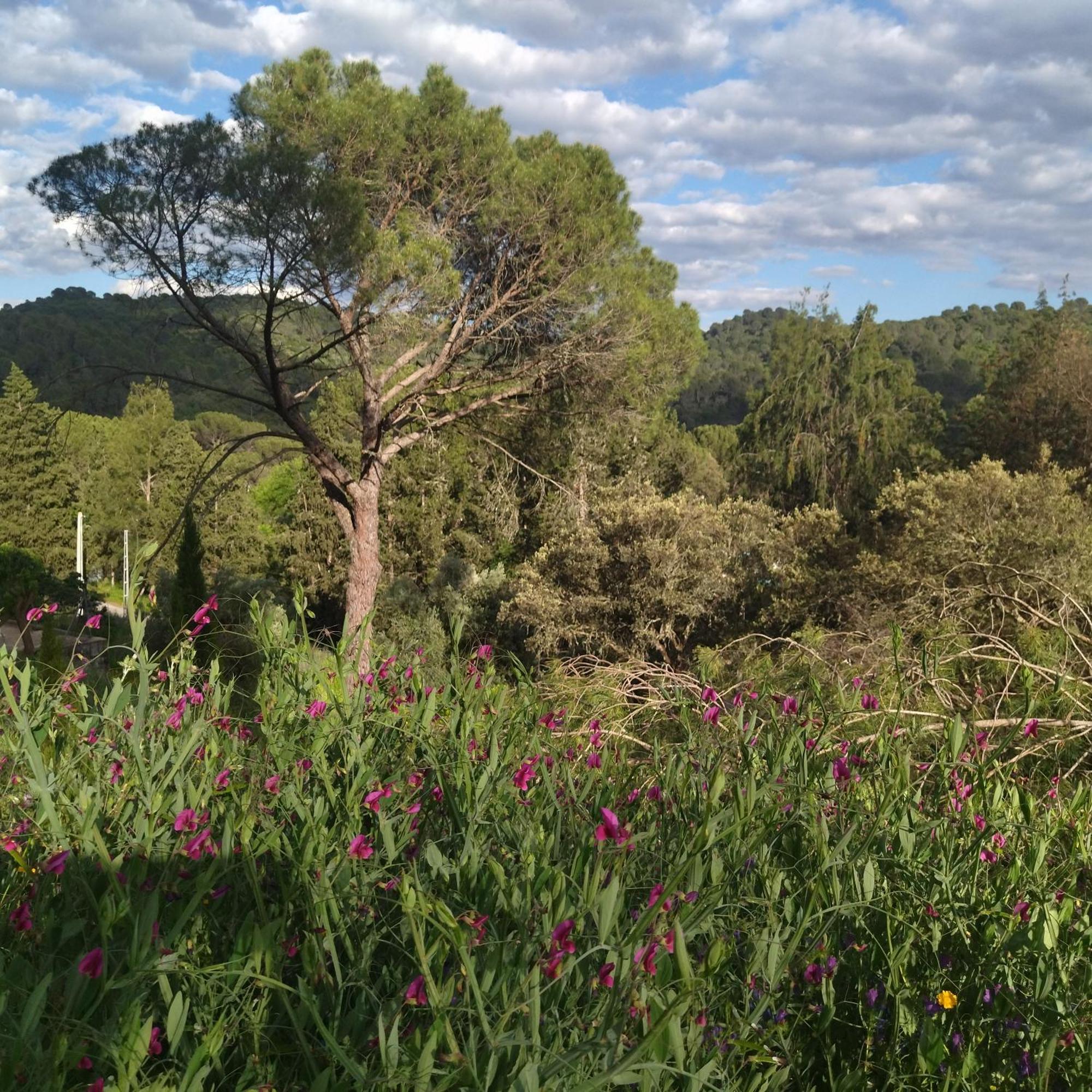 Bonita Casa Blanca En El Bosque. Villa Córdoba Kültér fotó